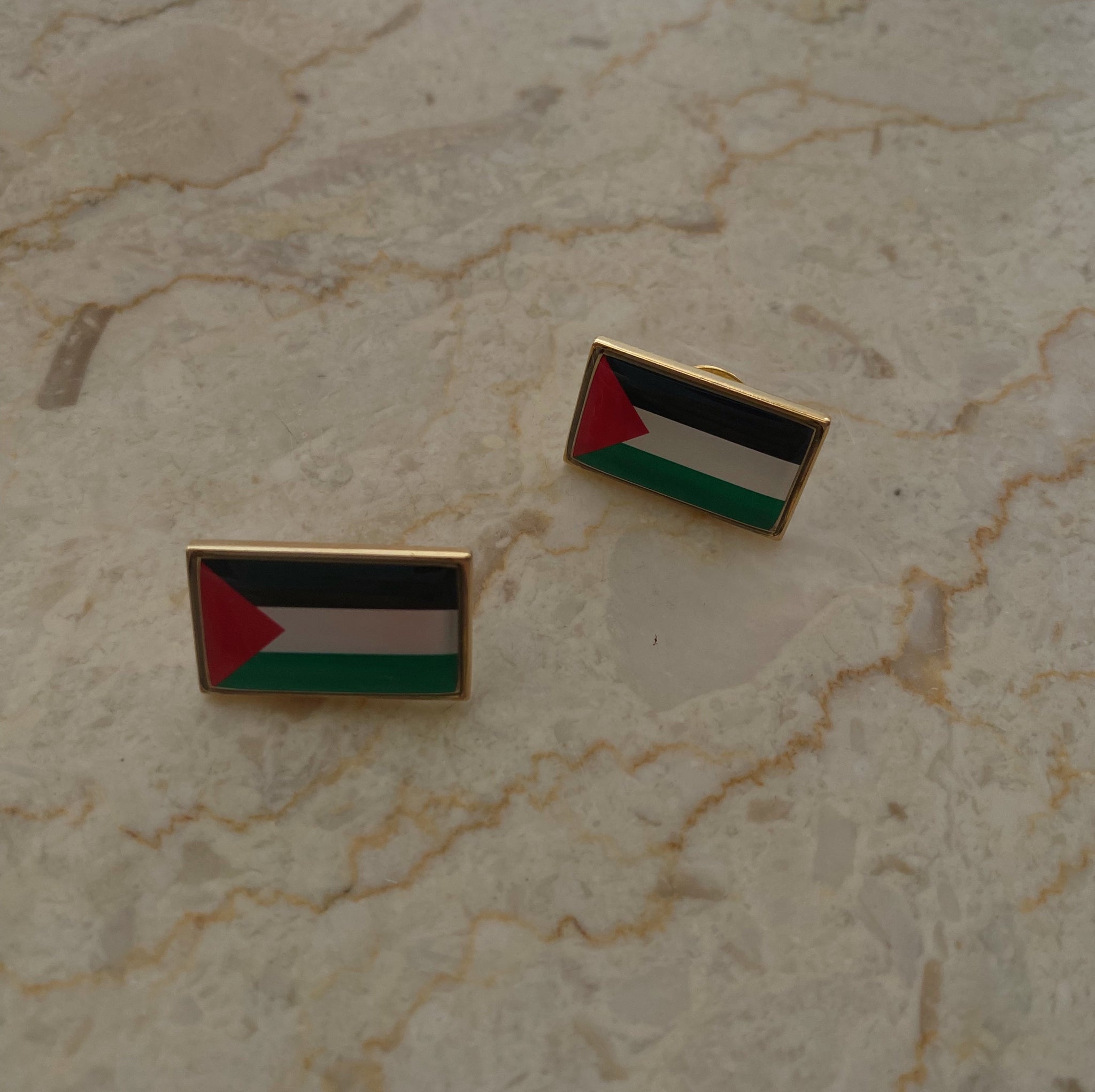 Palestine pin